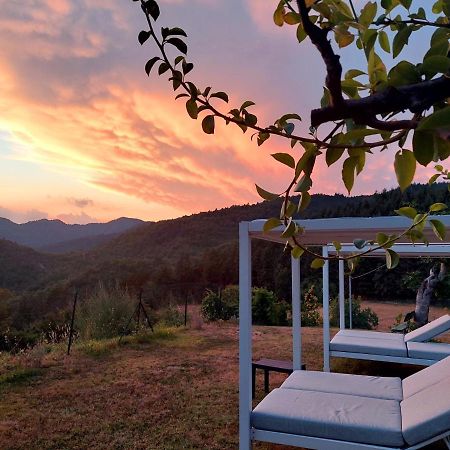 سكاربيرا Villa Giuliana B&B المظهر الخارجي الصورة