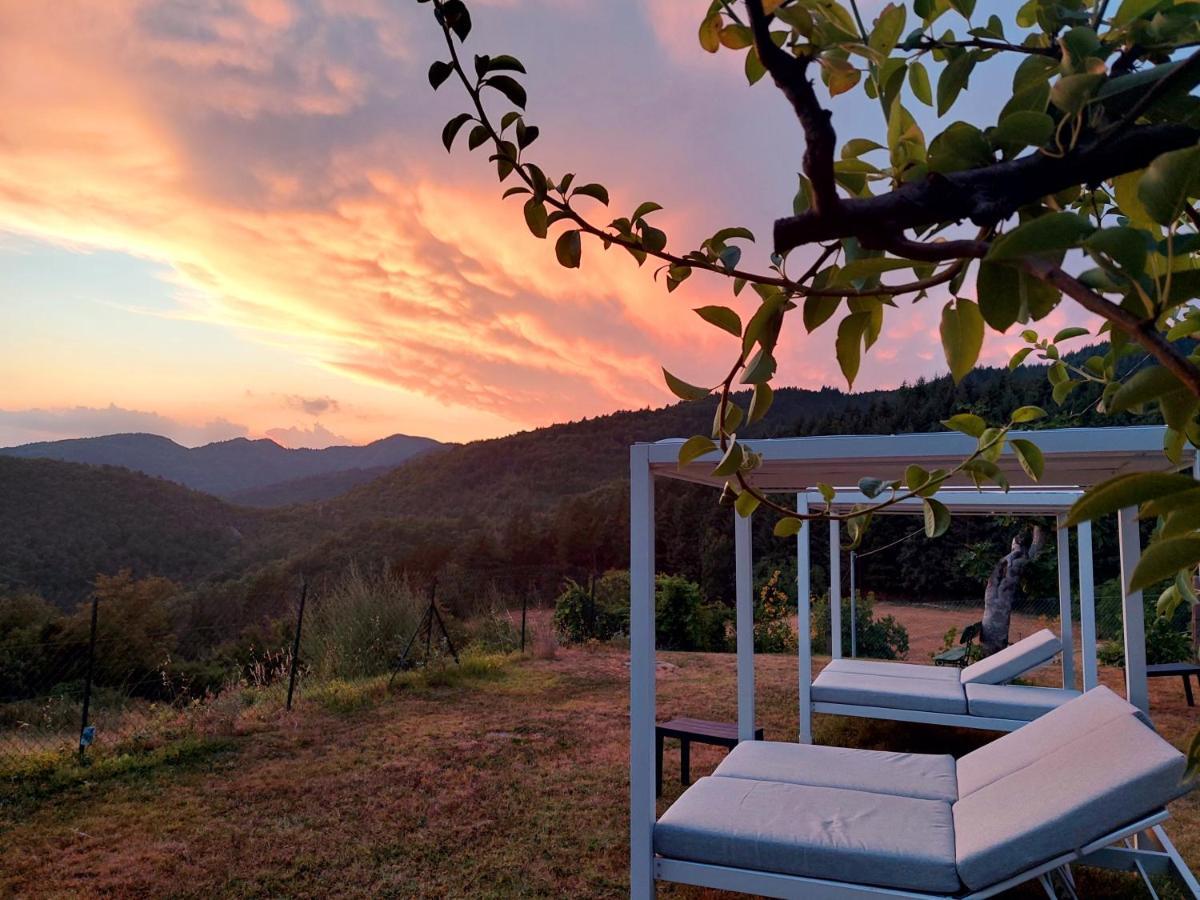 سكاربيرا Villa Giuliana B&B المظهر الخارجي الصورة